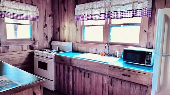 Une cuisine avec des murs en bois, une cuisinière à gaz, un évier et un four à micro-ondes.