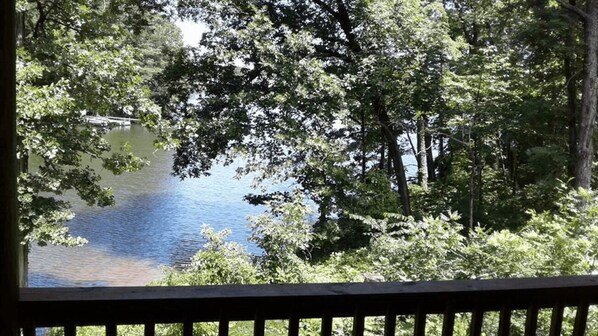 Property grounds - FIVE POINTS~LAKE HAMILTON: Cabin#F ~ 2 Story, 3BR w/Queen Beds,  Futons in LR & Loft, Full Kitchen, Breakfast "Fixins" Provided, 2 Baths (Upstairs has Jetted Tub), Large Covered Porch, Right by the Water (Hot Springs National Park)