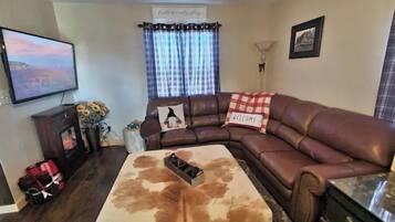 Smart TV, fireplace, books