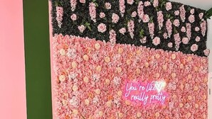Et spiseområde med et træbord, en potteplante og en væg dekoreret med pink og sorte blomster.
