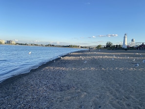 Una spiaggia nelle vicinanze, lettini da mare