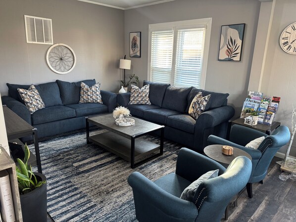 Smart TV, Netflix, books, streaming services