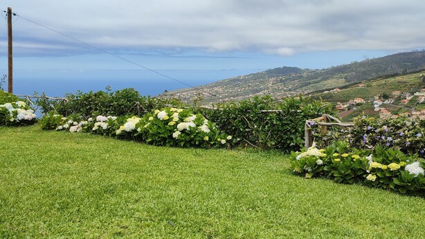 A grassy area with a wooden fence, a utility pole, and a view of a coastal town with houses on a hillside. - Recanto das Florenças (3) – Stone House (Arco da Calheta)