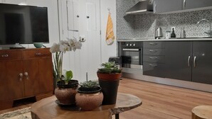 A modern kitchen with a built-in oven, a sink, and a countertop. There is a wooden cabinet with a flat-screen TV on top. - Recanto das Florenças (3) – Stone House (Arco da Calheta)