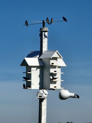 A birdhouse with multiple perches and a weather vane on a pole. - Jemma’s Hideaway in Amish Country (Dundee)
