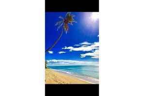 On the beach, sun-loungers, beach towels - Beach Apartment, Walk to the Beach! (Rincon)