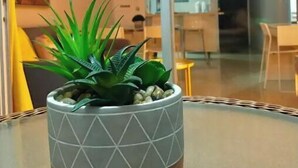 星評価なしの画像、2 / 22、ボタン