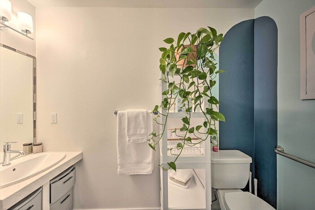 A bathroom with a white sink, a mirror, a toilet, and a plant.