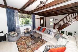 Smart TV, fireplace, books