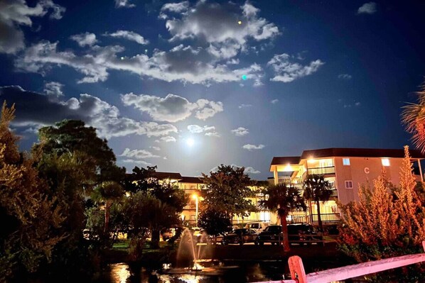 A night scene with a building, a fountain, and a clear sky.