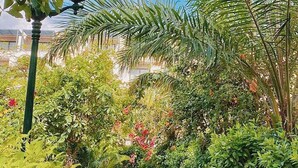 A pathway surrounded by lush greenery and a street lamp. - Villa 102 Royal Lotus cách bãi biển 5 phút (Hạ Long)