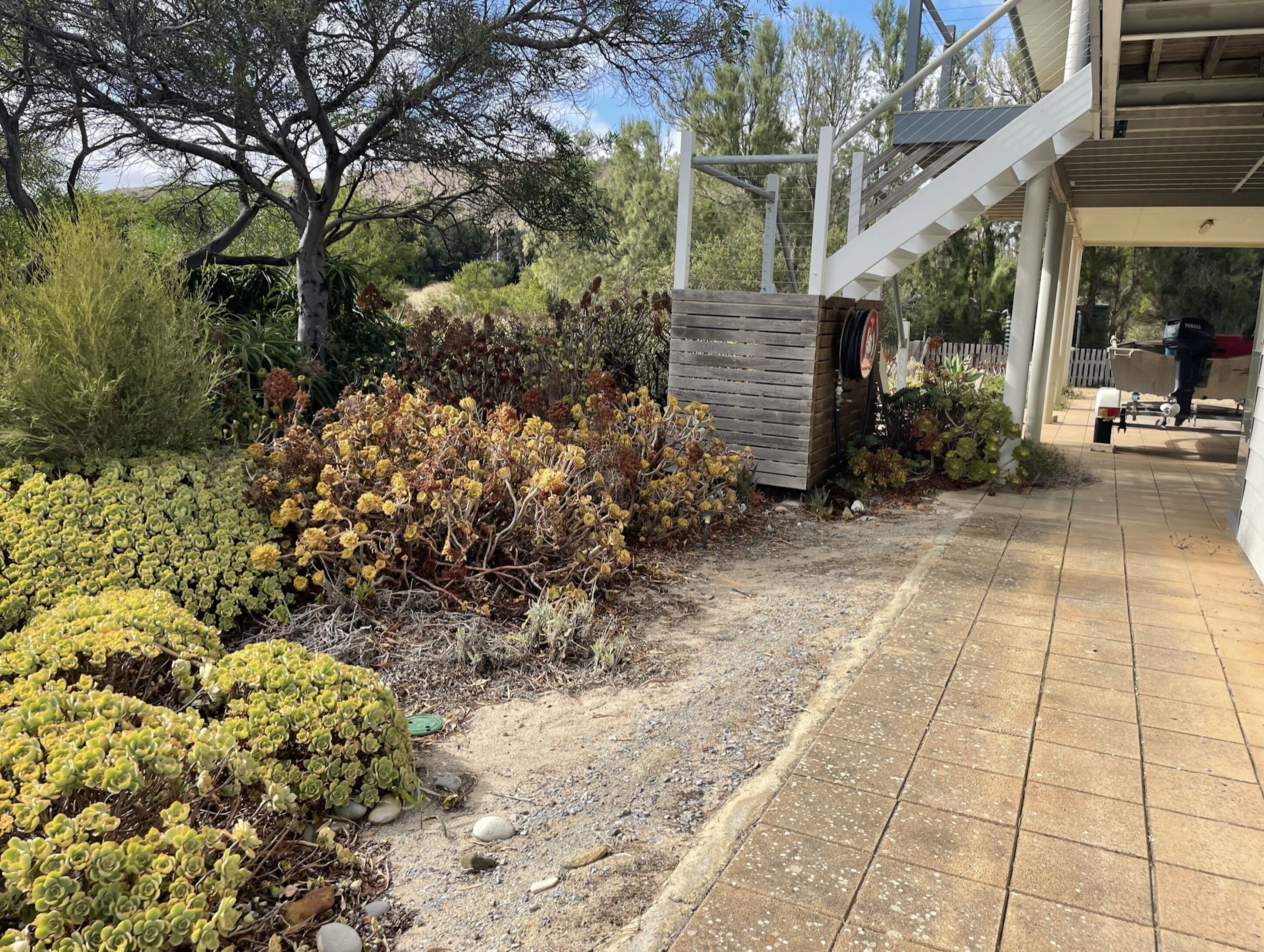 A garden area with various plants and a wooden structure.