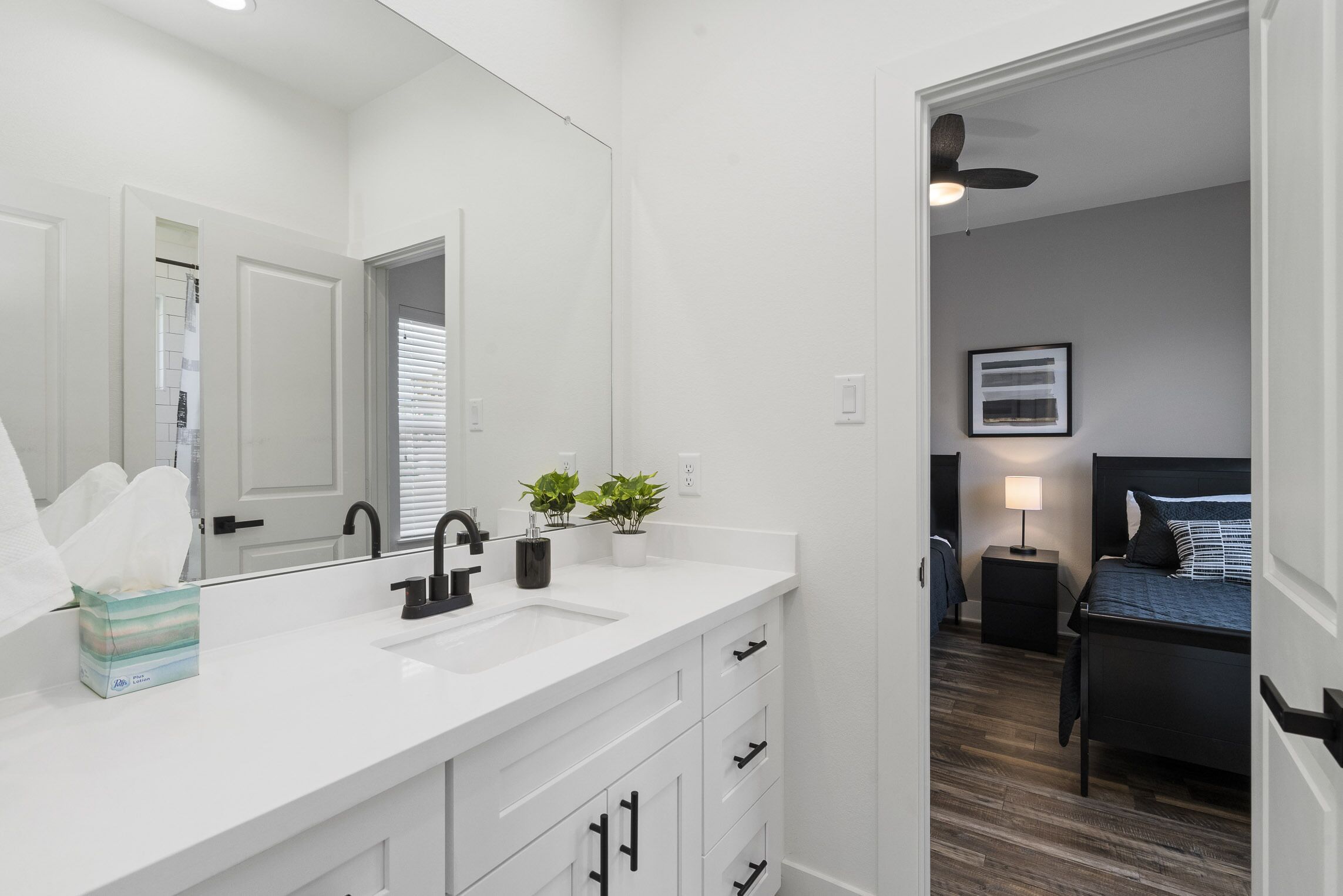 A modern bathroom with a white vanity, a large mirror, and a sink. There is a small plant on the vanity and a tissue box on the counter.