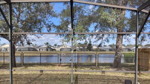 A view through a screened porch with a pool, a fenced area with birds, and houses in the background.