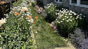 A house with a gravel driveway, a wooden fence, and a garden with various flowers and plants.