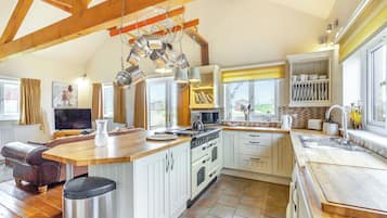 Fridge, oven, stovetop, toaster
