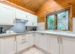 Fridge, oven, stovetop, toaster