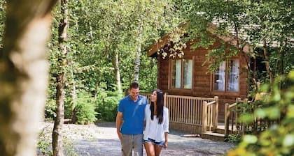 Woodpecker Log Cabin 2