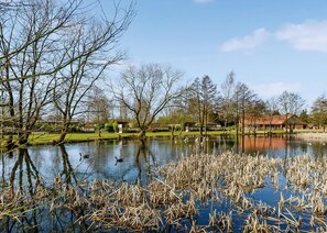 Overnatningsstedets område