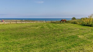 A grassy field with a wooden fence, a horse, and a view of the ocean.