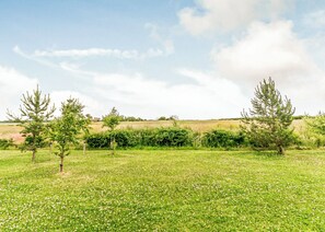 Ein Feld mit vereinzelten weißen Blüten und einigen Bäumen.