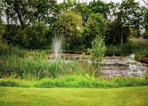 A pond with a fountain, surrounded by lush greenery and trees.