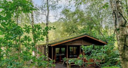 1 chambres Ă coucher Ă Freehay, Cheadle