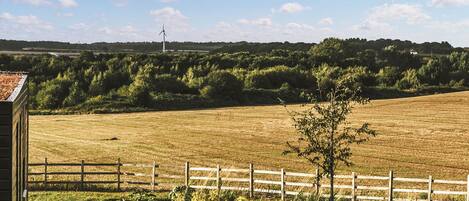 Àrea exterior de l'allotjament