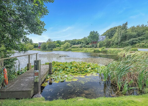 A wooden dock extending over a calm river with lily pads, surrounded by lush greenery and trees. - 1 bedroom accommodation in Anglesey (Anglesey)