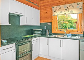 Fridge, oven, stovetop, toaster