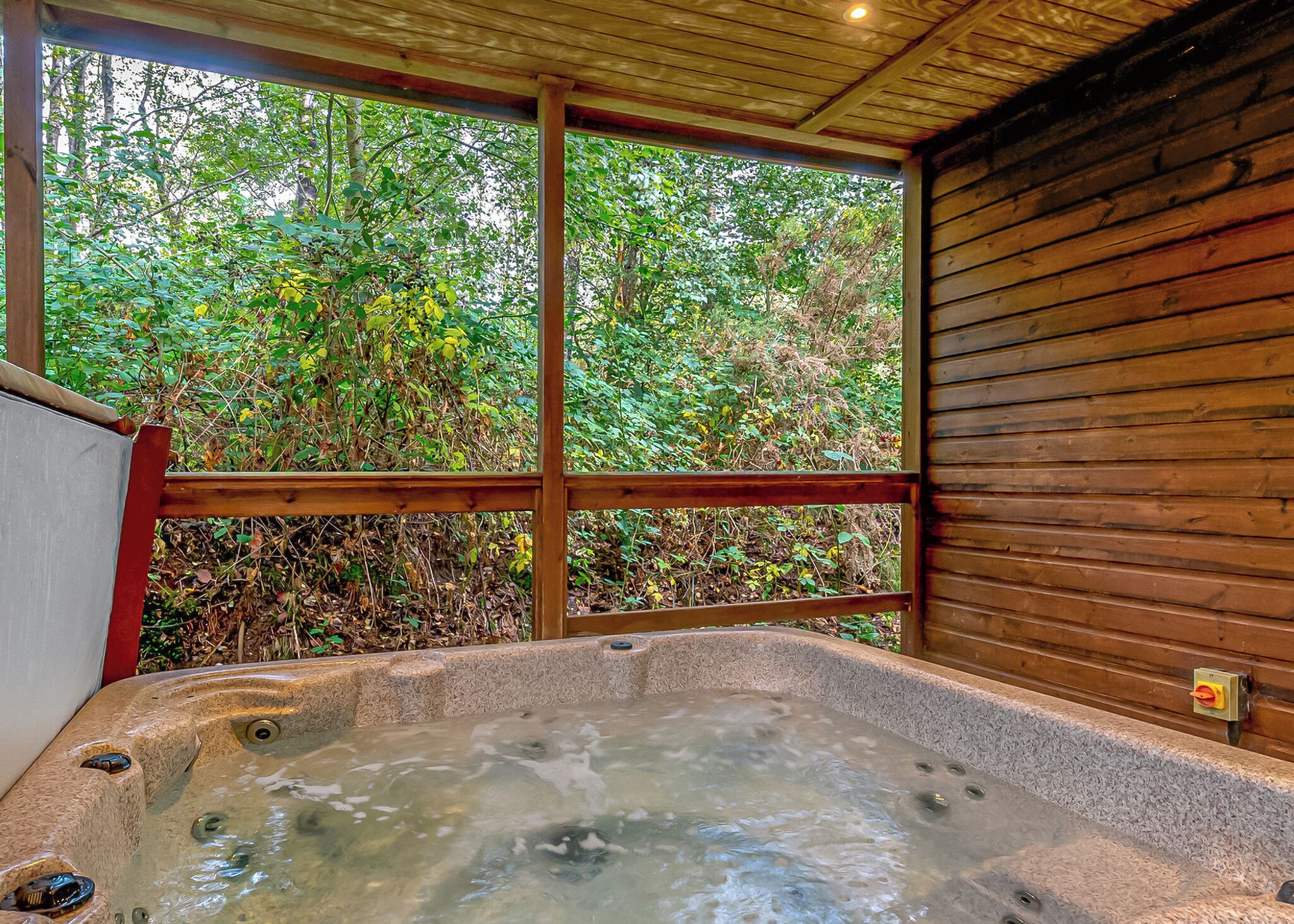 Un bain à remous offrant une vue sur un feuillage dense, encadré par une structure en bois.