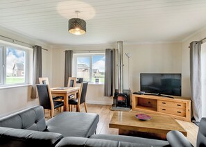 A modern living room with a TV, fireplace, dining table, and seating area.