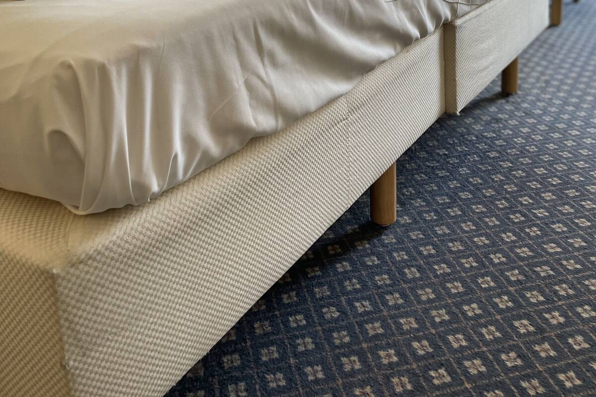 Basic Triple Room | Desk, WiFi (free), bed sheets