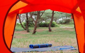 Een tent met uitzicht op een grasveld en bomen.