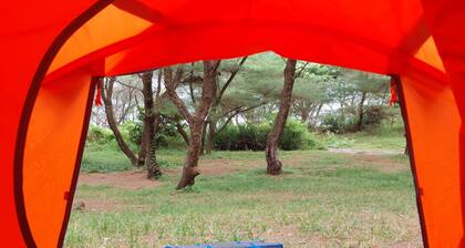 PANTAI AYUNAN CAMP GOA CEMARA