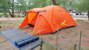 Une grande tente orange avec un tapis bleu et des tapis enroulés à proximité, entourée d’arbres et d’une clôture.