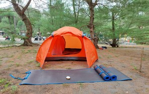 Exterior - PANTAI AYUNAN CAMP GOA CEMARA (Parangtritis)