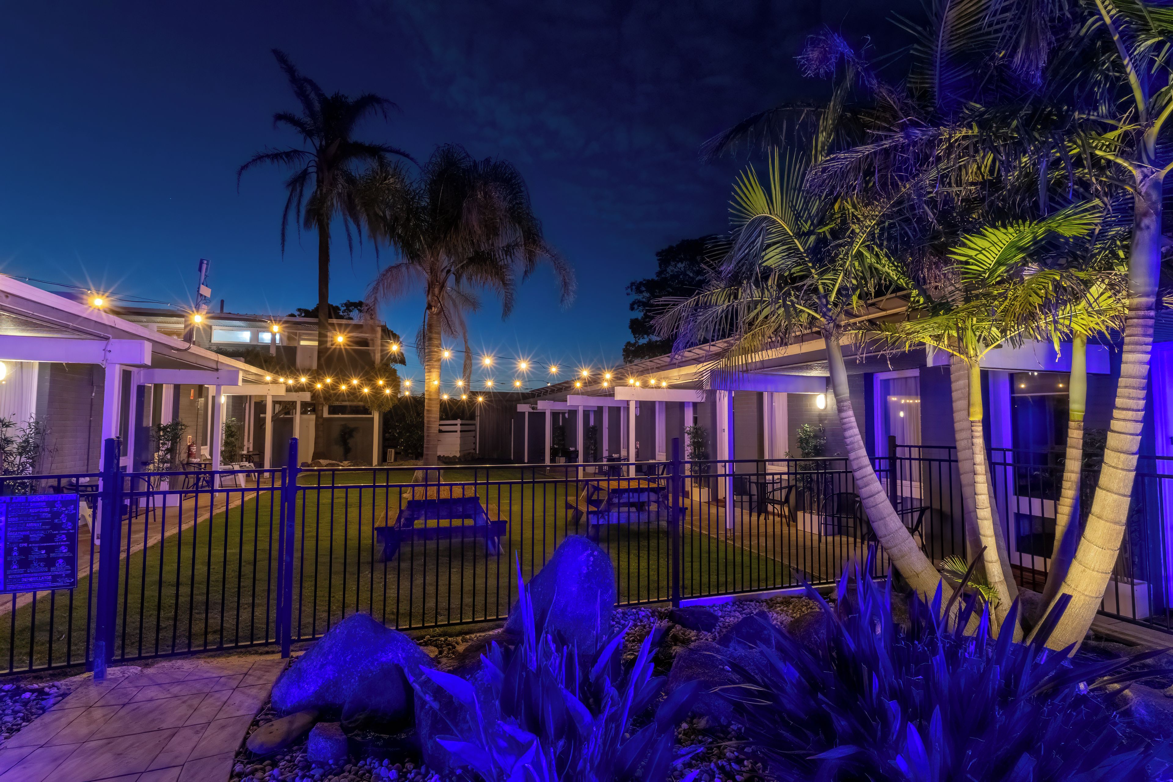 Un patio con piscina, palmeras y luces colgantes.