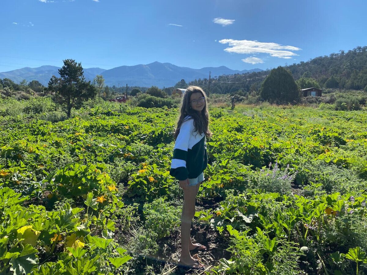 Una persona de pie en un campo con diversas plantas y una montaña al fondo.