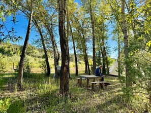 Restauration en plein air