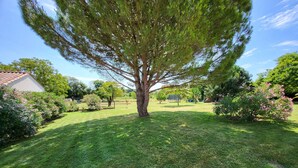 Hyvin hoidettu puutarha, jossa on suuri puu, nurmikko ja taustalla näkyvä talo.