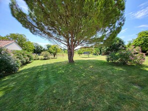 Àrea exterior de l'allotjament