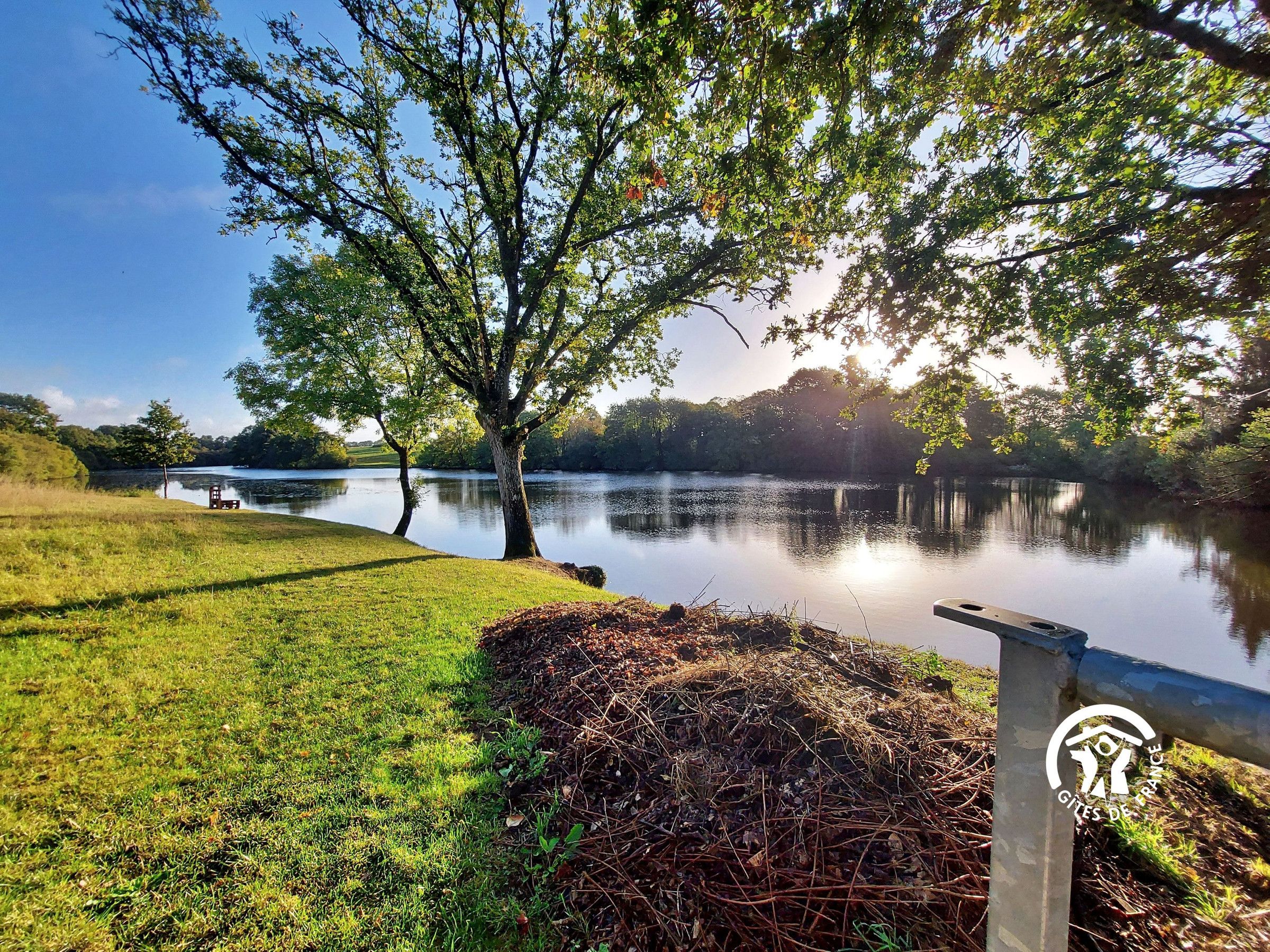 A tranquil lakeside scene with a grassy area, a tree, and a metal structure with a logo.