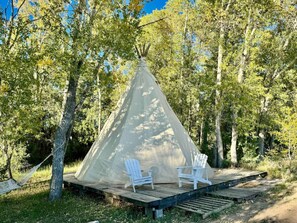 星評価なしの画像、5 / 32、ボタン