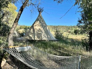 星評価なしの画像、3 / 32、ボタン