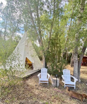 星評価なしの画像、4 / 32、ボタン