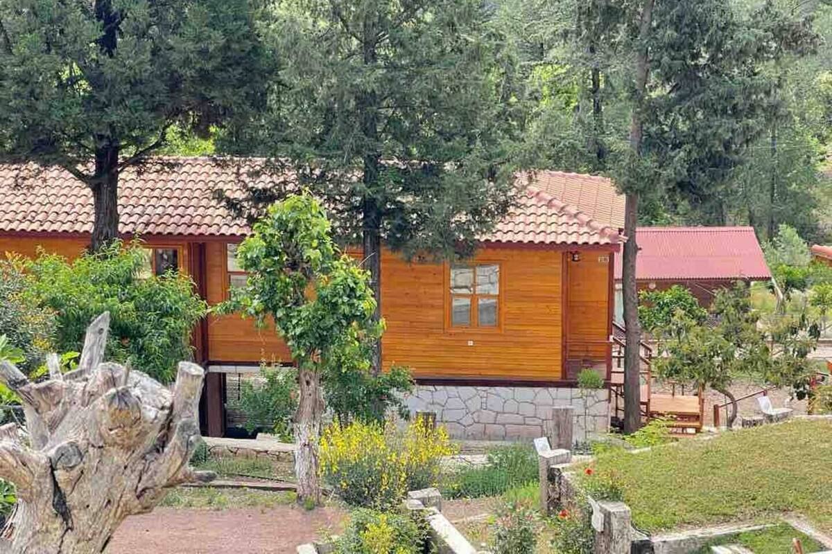 A row of wooden cabins with red roofs, surrounded by dense trees and greenery.