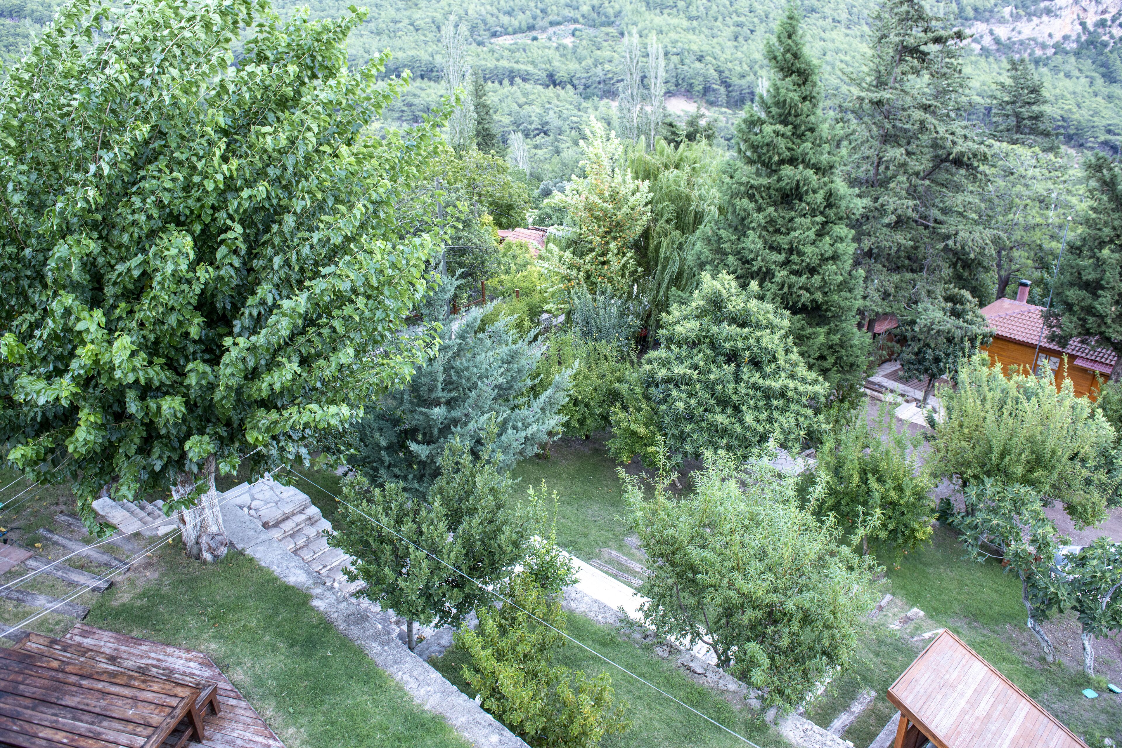 Zona residencial amb terrassa de fusta, parets de pedra i diversos arbres.