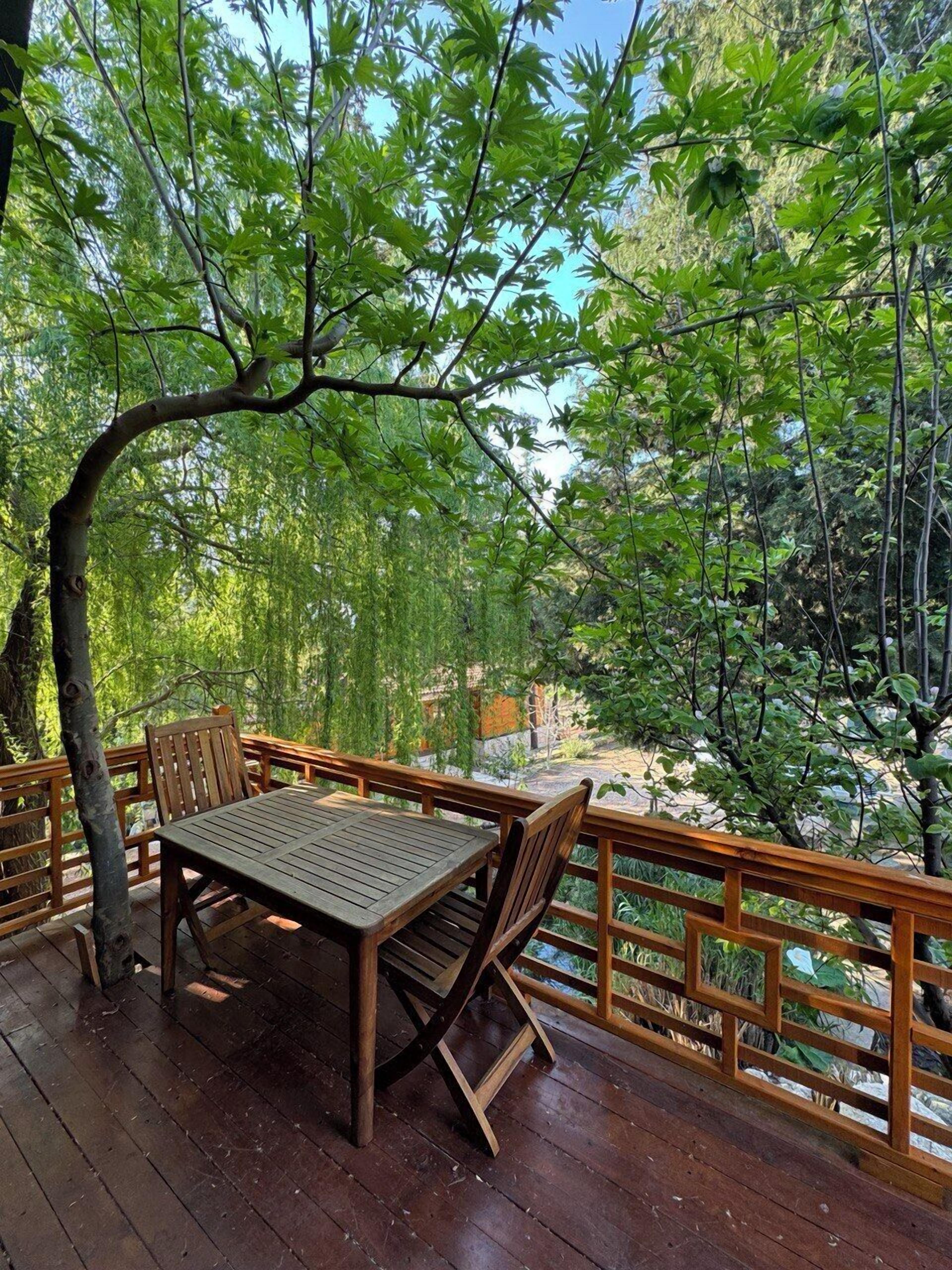 Forest Bungalow in Mountain (3B) | Terrasse/Patio