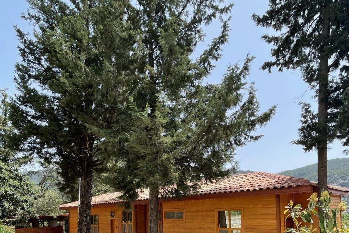 A wooden cabin with a stone pathway leading to the entrance.